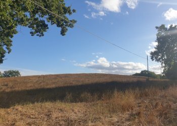 20211005_165703.jpg - Terreno agricolo Lugnano in Teverina - foto 7