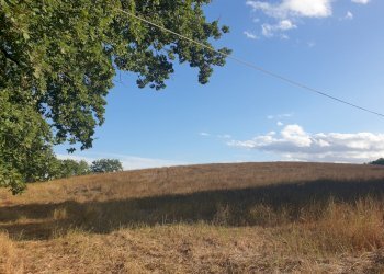 20211005_165705.jpg - Terreno agricolo Lugnano in Teverina - foto 8