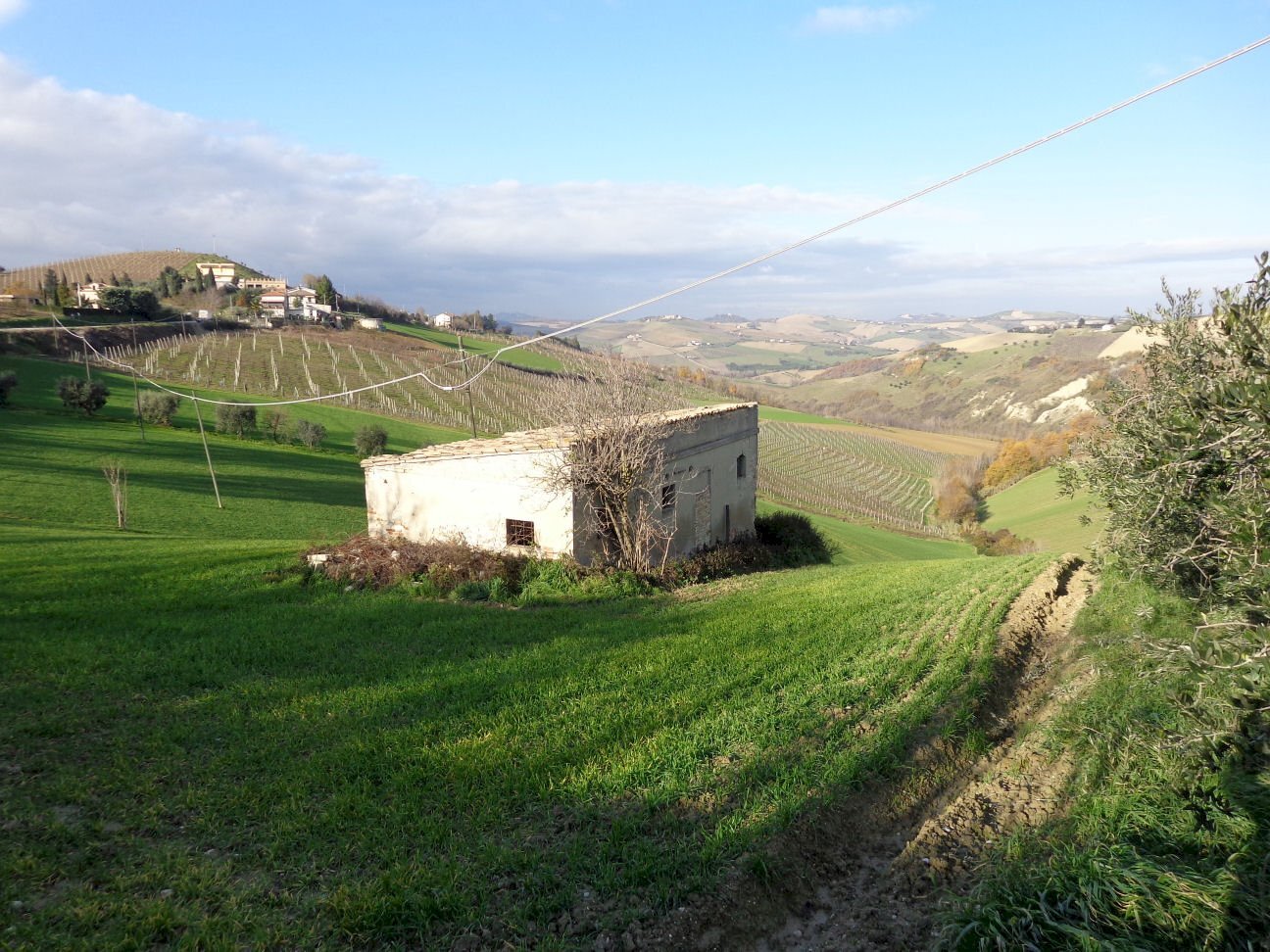 Rustic Contrada Fiorano, Cossignano - photo 2