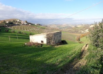 Rustic Contrada Fiorano, Cossignano - photo 2