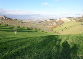 Rustic Contrada Fiorano, Cossignano - photo 9