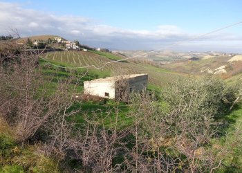 Rustic Contrada Fiorano, Cossignano - photo 12