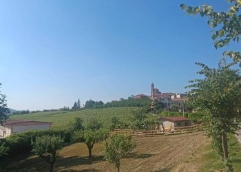Terreno - Rustic via Roma, Penango - photo 7
