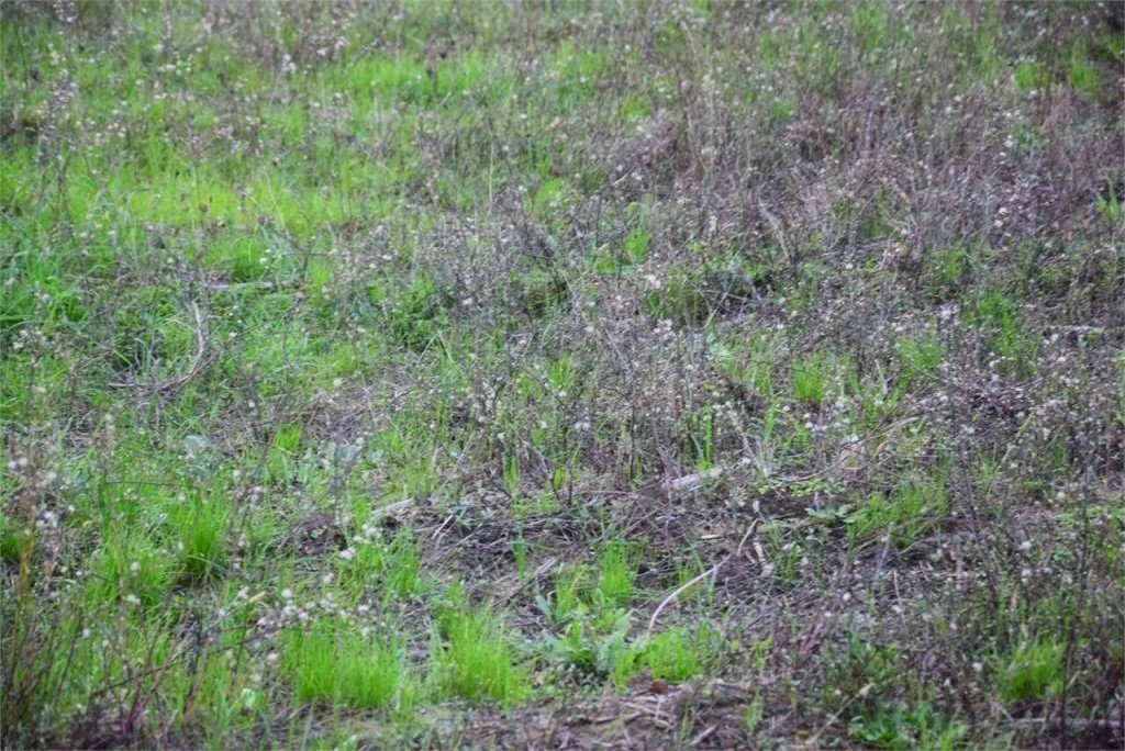 33.jpg - Building land Traversa ⅱ Via Per Vorno, Lucca - photo 3