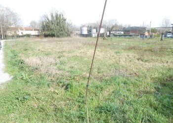 23.JPG - Terreno edificabile Traversa ⅱ Via Per Vorno, Lucca - foto 2