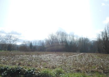 DSCN9834.JPG - Terreno edificabile Traversa ⅱ Via Per Vorno, Lucca - foto 7