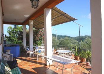 IMG_7731.JPG - Agriturismo Vezzano Ligure - foto 3