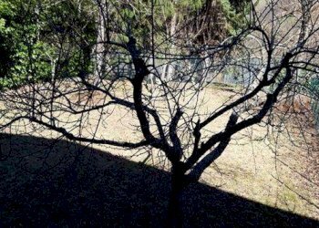 Appartamento Abetone Cutigliano - foto 10