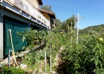 Independent house Strada degli Olandesi, Camporosso - photo 3