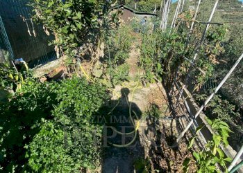 Independent house Strada degli Olandesi, Camporosso - photo 5