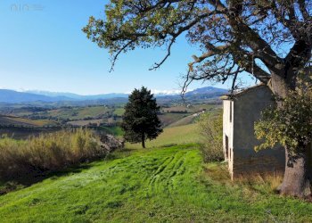 Rustico Offida - foto 1