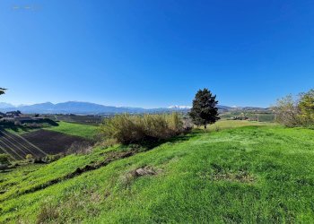 Rustico Offida - foto 5