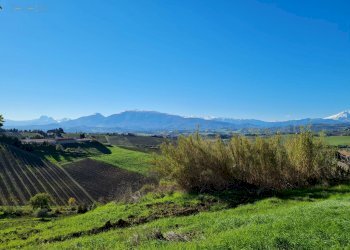 Rustico Offida - foto 6