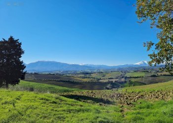 Rustico Offida - foto 7