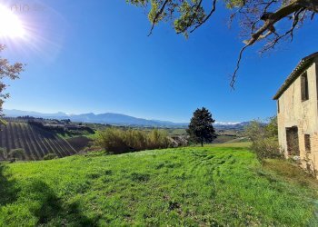 Rustico Offida - foto 12