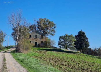 Rustico Offida - foto 16