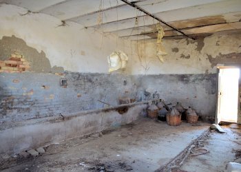 Rustico Offida - foto 25