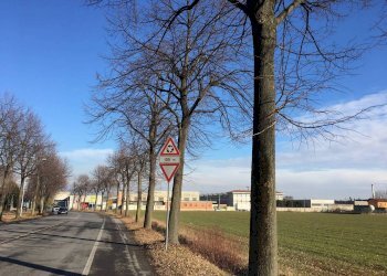 terreno - Terreno edificabile SP122, Verdello - foto 5