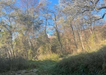 img_2268 - Maso Boccheri, Roncegno Terme - foto 17