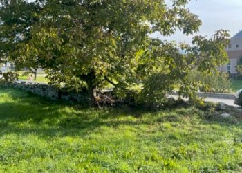 img_1310 - Terreno edificabile Marter, Roncegno Terme - foto 6