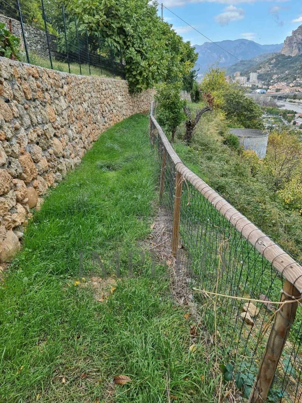 Terreno agricolo Via Monsignore Daffra, Ventimiglia - foto 1