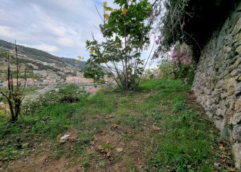 Terreno agricolo Via Monsignore Daffra, Ventimiglia - foto 4