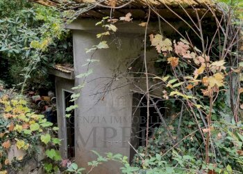 Terreno agricolo Via Monsignore Daffra, Ventimiglia - foto 5