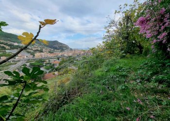 Terreno agricolo Via Monsignore Daffra, Ventimiglia - foto 6