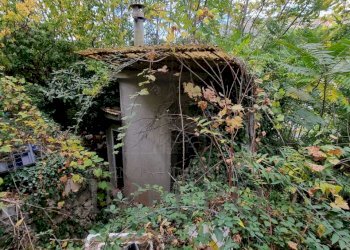 Terreno agricolo Via Monsignore Daffra, Ventimiglia - foto 8