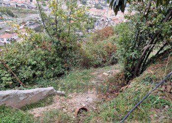 Terreno agricolo Via Monsignore Daffra, Ventimiglia - foto 10