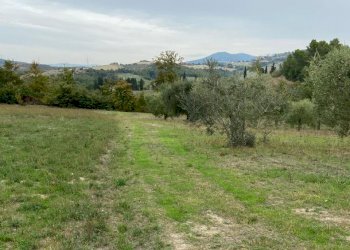 WhatsApp Image 2021-10-26 at 12.13.30 (6).jpeg - Terreno agricolo Strada di Vagli, Lugnano in Teverina - foto 3