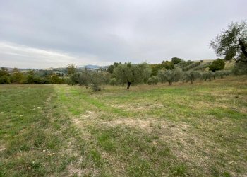 WhatsApp Image 2021-10-26 at 12.13.31.jpeg - Terreno agricolo Strada di Vagli, Lugnano in Teverina - foto 5