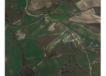 scan00192_page-0001.jpg - Terreno agricolo Strada di Vagli, Lugnano in Teverina - foto 6