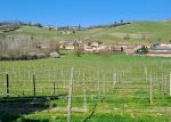 Terreno agricolo Santo Stefano Belbo - foto 1