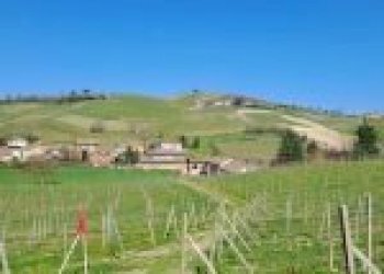 Terreno agricolo Santo Stefano Belbo - foto 2