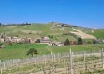 Terreno agricolo Santo Stefano Belbo - foto 5