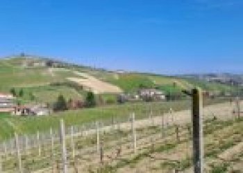 Terreno agricolo Santo Stefano Belbo - foto 6