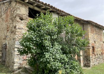 Rustico Pellegrino Parmense, Pellegrino Parmense - foto 5