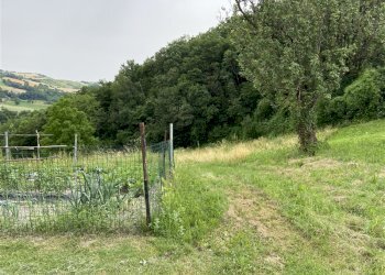 Rustico Pellegrino Parmense, Pellegrino Parmense - foto 12