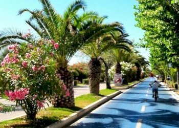 Terreno edificabile a 300 metri dal mare, Alba Adriatica - foto 6