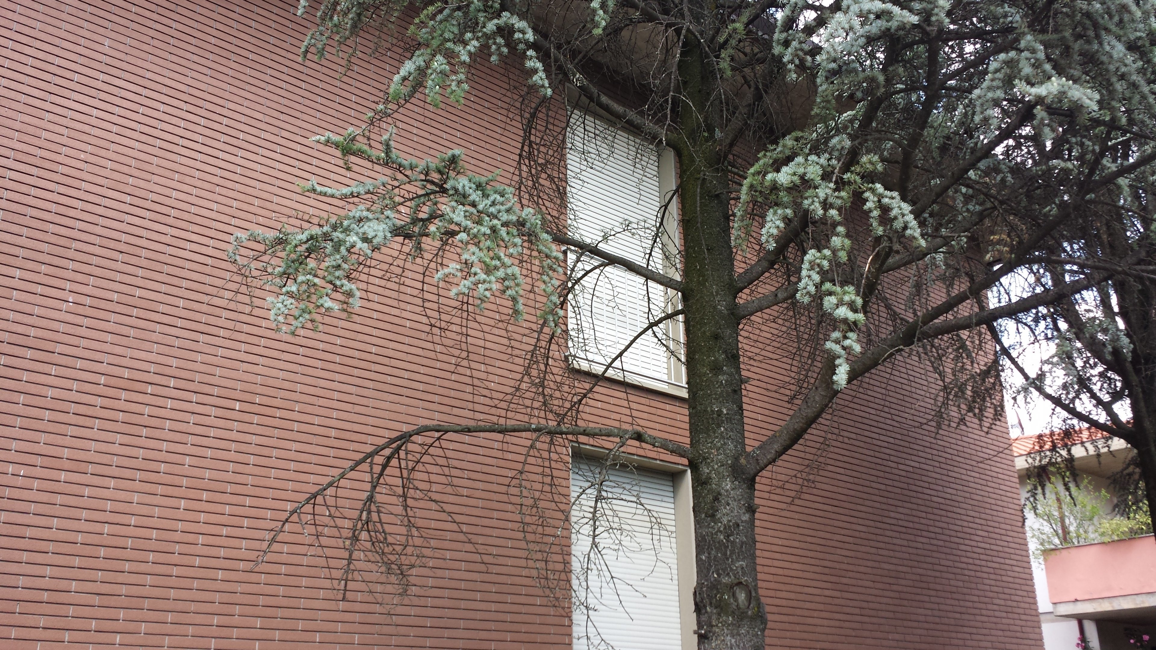 Appartamento Via Primavera, Imola - foto 1