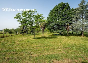 Independent house via biverare, Mesola - photo 14