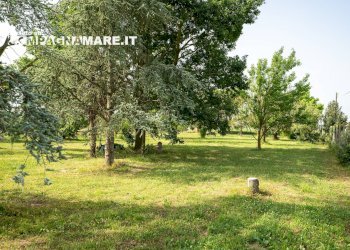 Independent house via biverare, Mesola - photo 15