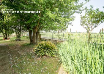 Independent house via biverare, Mesola - photo 18