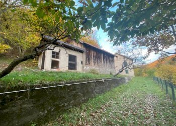 WhatsApp Image 2021-11-04 at 19.41.20.jpeg - Rustico Sassello - foto 4