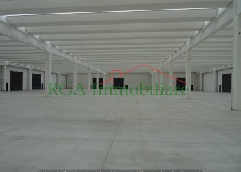 capannone - Capannone SPEXSS671, Seriate - foto 16