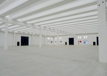 capannone - Capannone SPEXSS671, Seriate - foto 17