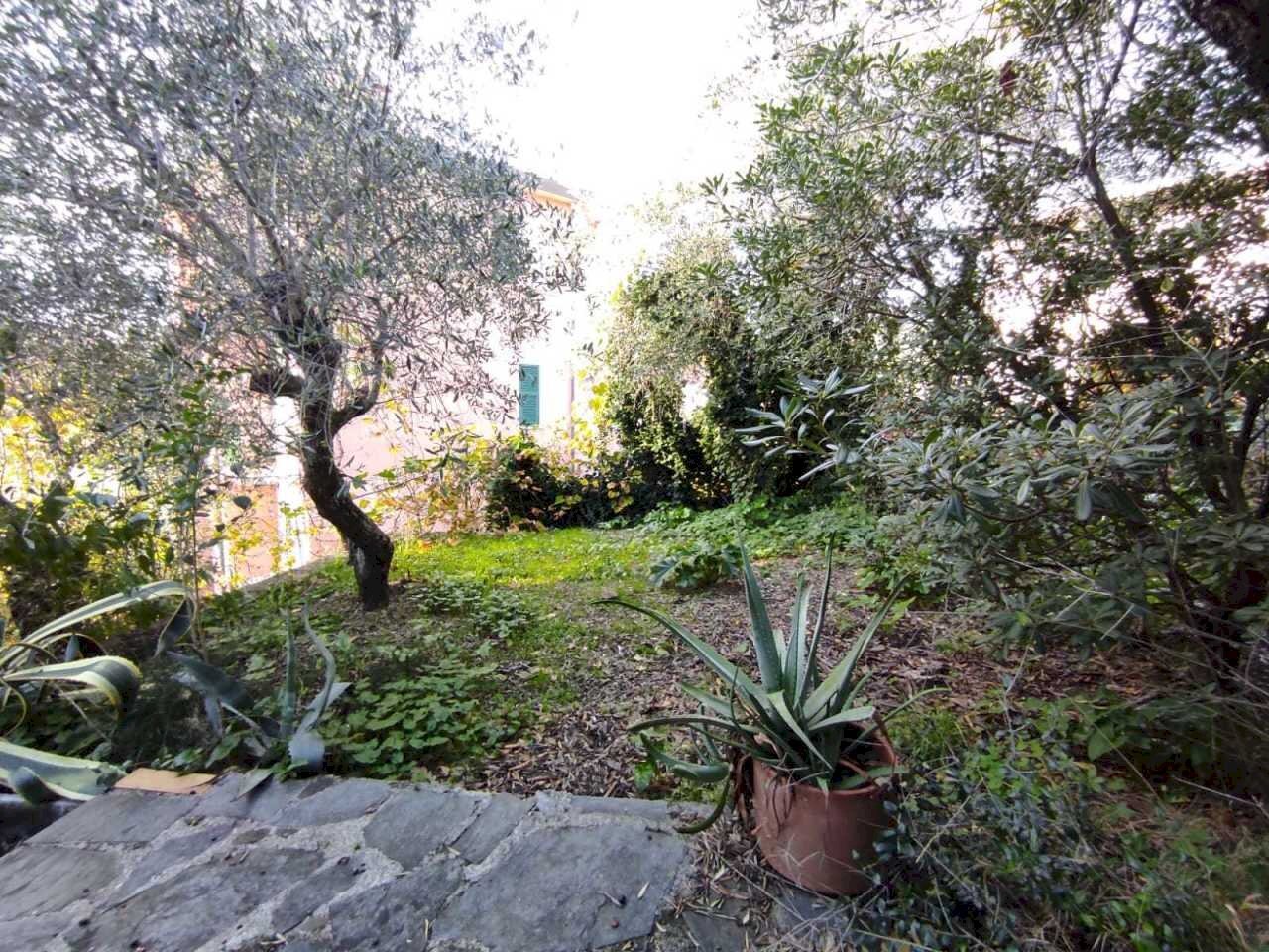 le2.jpg - Appartamento Lerici - foto 3