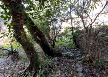 le3.jpg - Appartamento Lerici - foto 4