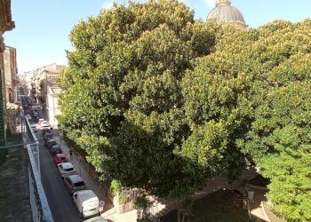 IMG_20211103_115621.jpg - Villa Ragusa - foto 25